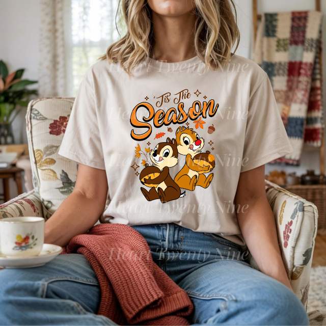 A572 Chip and Dale Dis Fall Character